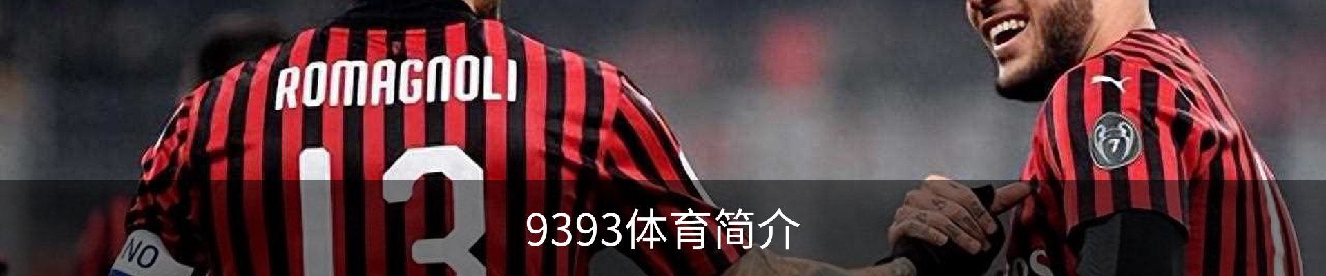 9393体育简介